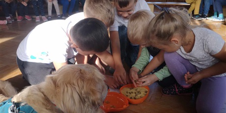 Powiększ grafikę: Grupka dzieci wybiera z miseczki psią karmę.