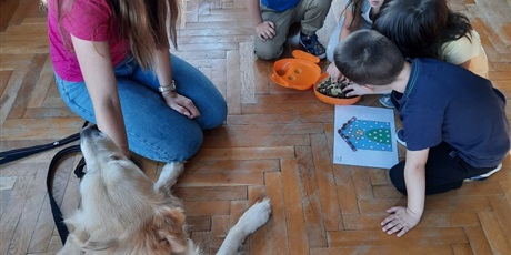 Powiększ grafikę: Na zdjęciu psi terapeuta, pies-golden i grupka dzieci układa karmę na obrazku budy.