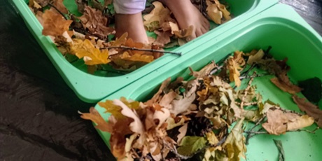 Powiększ grafikę: Dziecięce gołe stopy stoją w pojemniku z liśćmi.