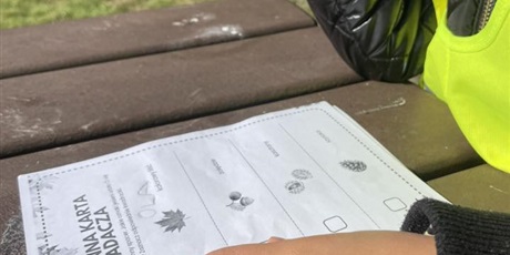 Powiększ grafikę: Na stole znajduje się kartka z napisem Karta Badacza i obrazki z liściem, żołędziem, kasztanem i szyszką.