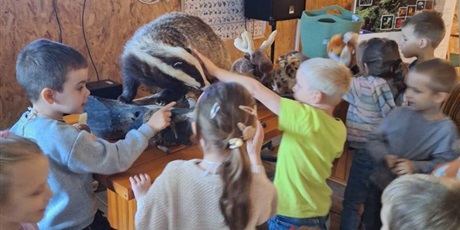 Powiększ grafikę: Grupka dzieci dotyka sztucznego borsuka.